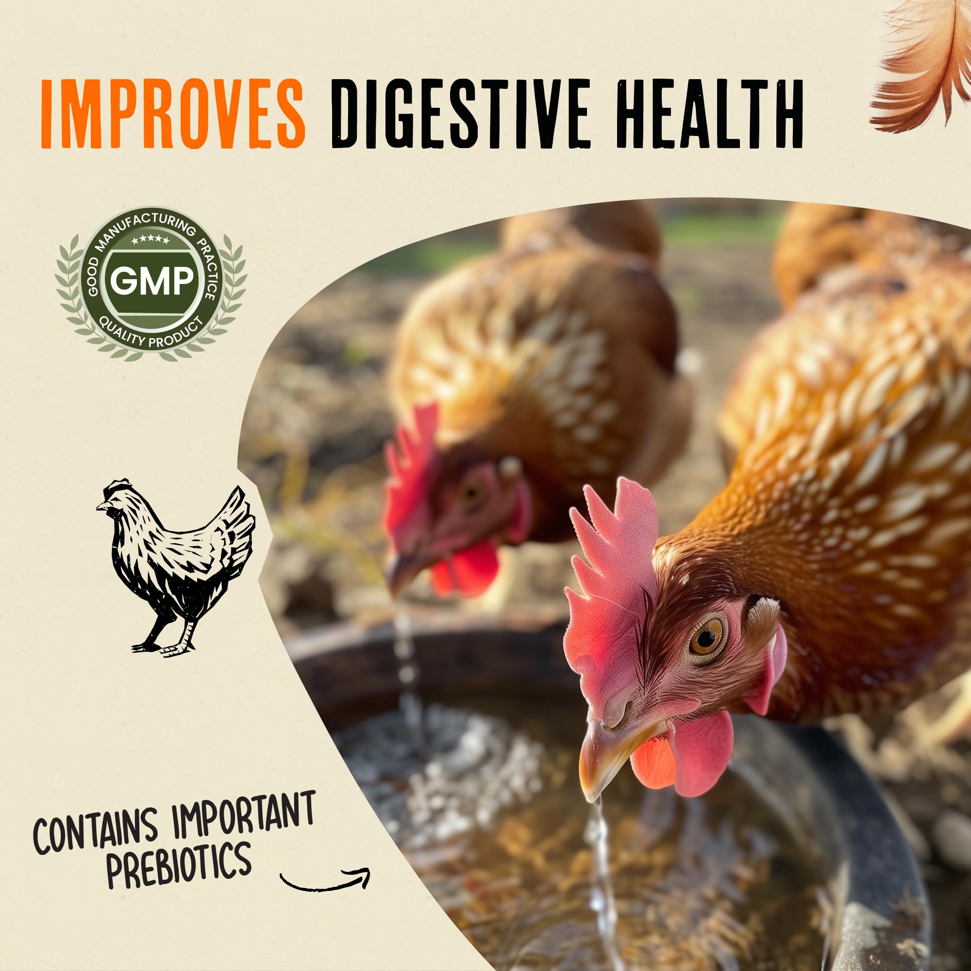 Roosty's booster label close-up showing natural ingredients for immune and digestive support.