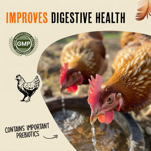 Roosty's booster label close-up showing natural ingredients for immune and digestive support.