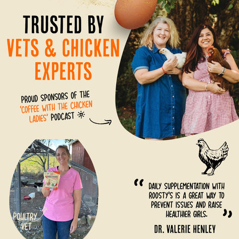 Chickens drink water with Roosty's booster for easy daily administration.