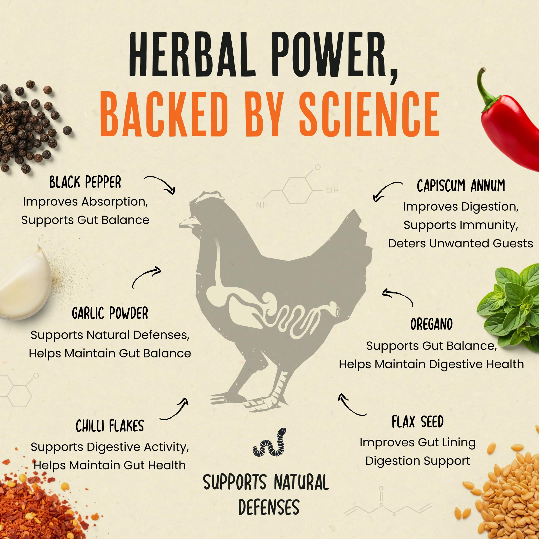 Scooping Roosty's Flock Armor chili powder into chicken feed