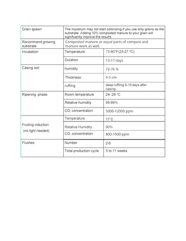 Root Mushroom Farm agaricus bisporus culture for smooth inoculation