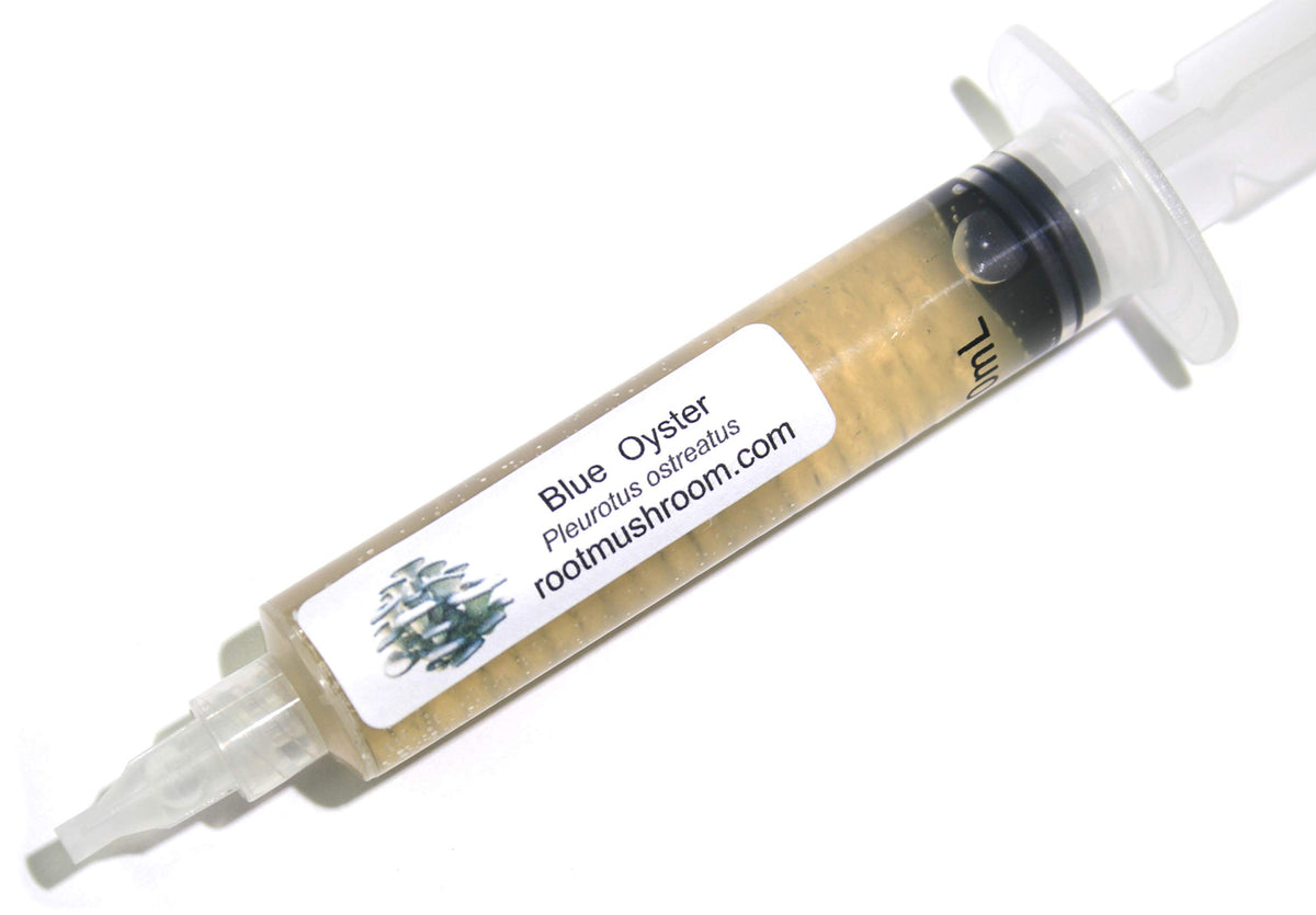 Root Mushroom Farm blue oyster liquid culture bottle ready for substrate inoculation.