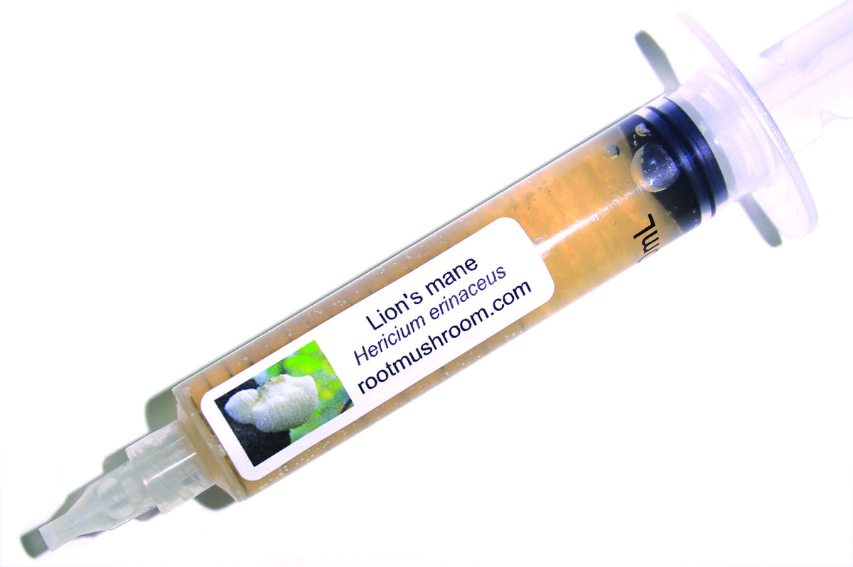 Root Mushroom Farm Lion's Mane liquid culture 10cc vial ready for substrate inoculation.