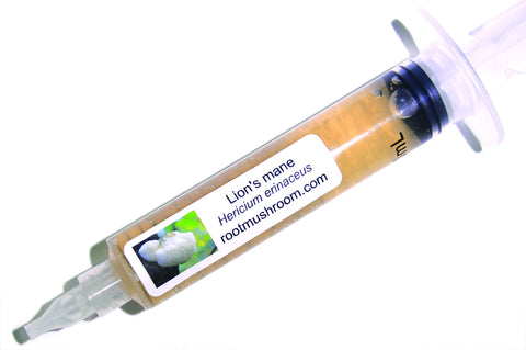 Root Mushroom Farm Lion's Mane liquid culture 10cc vial ready for substrate inoculation.