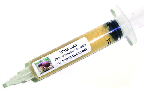 Root Mushroom Farm liquid culture bottle with 10cc active mycelium for inoculation.