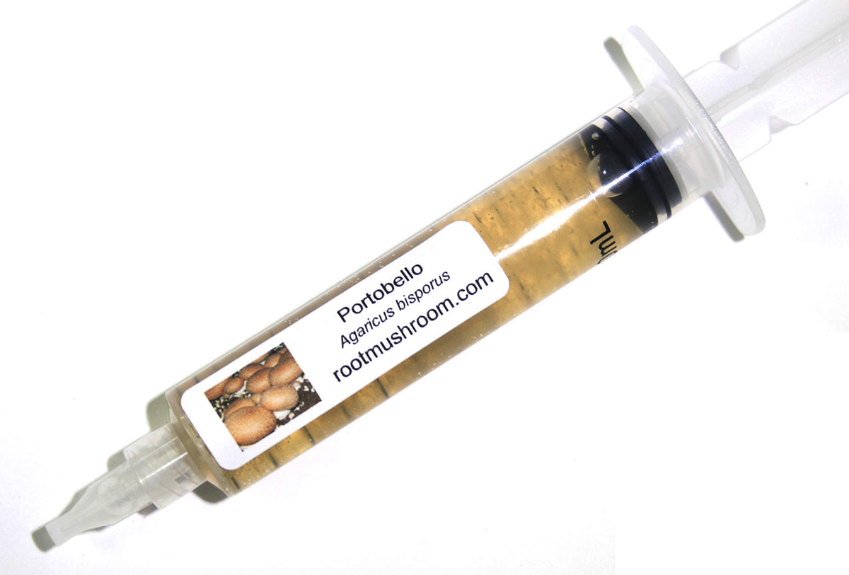 Root Mushroom Farm Portobello liquid culture 10cc ready for even mycelium spread