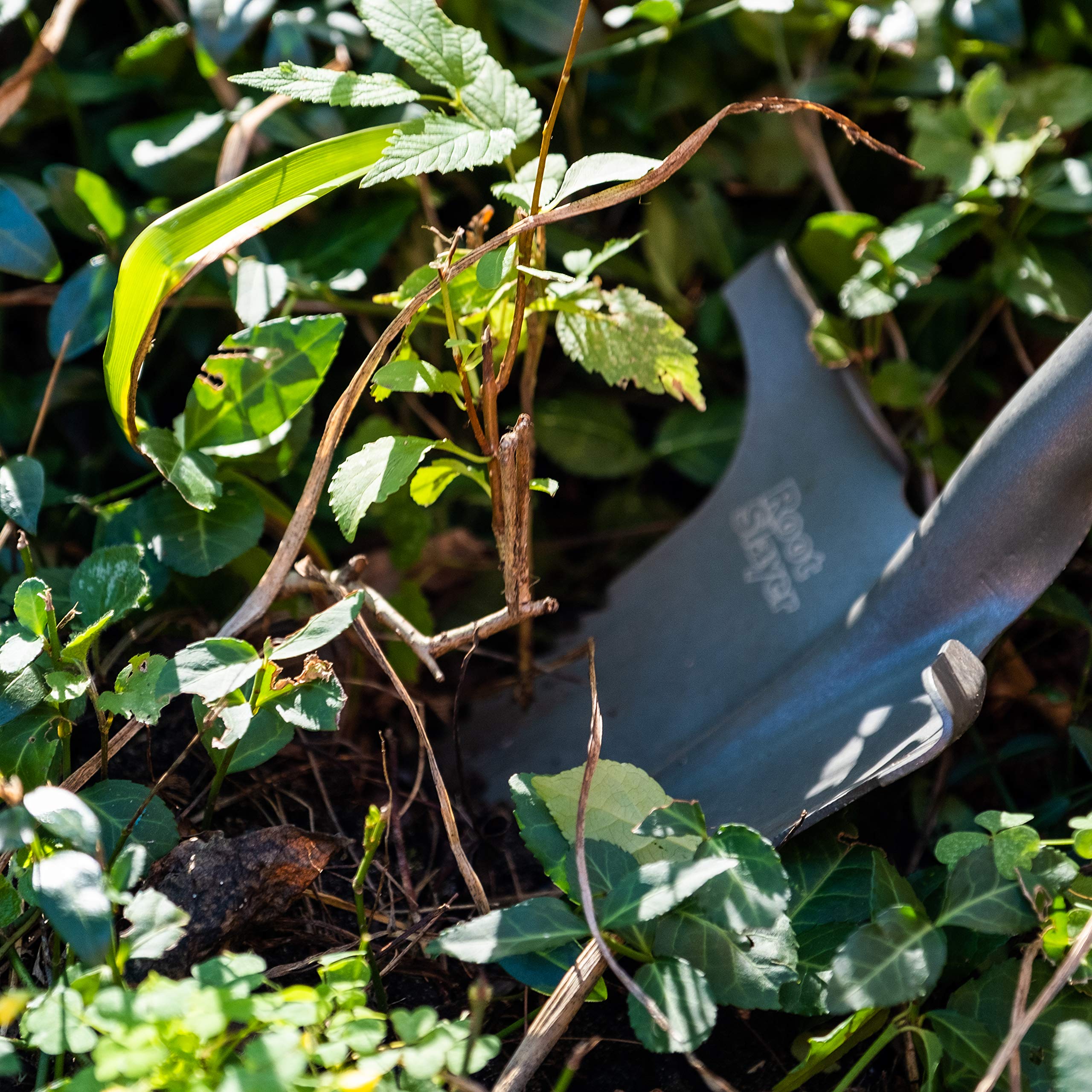 Root Slayer Nomad camping digging for outdoor scenes