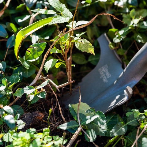 Root Slayer Nomad camping digging for outdoor scenes