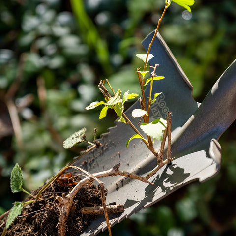 Root Slayer Nomad raised-bed use in narrow plots