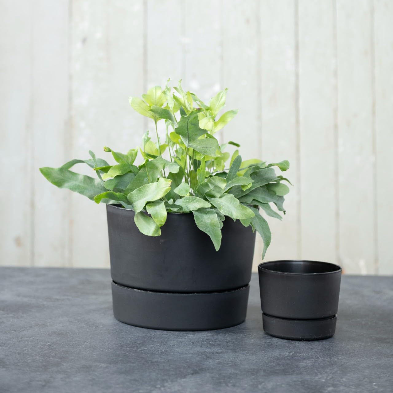 USA-made, recyclable planter supports durable outdoor living and responsible choices.