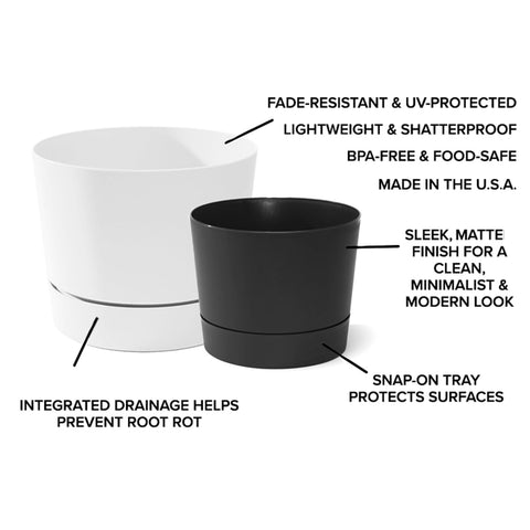 Root & Vessel Majestic MCM pot's matte finish elevates modern interiors.