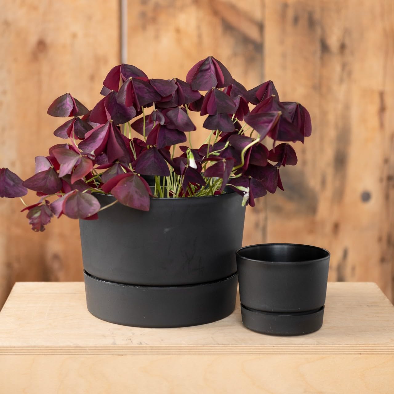 Lightweight, sturdy plastic with matte finish complements contemporary interiors and exteriors.