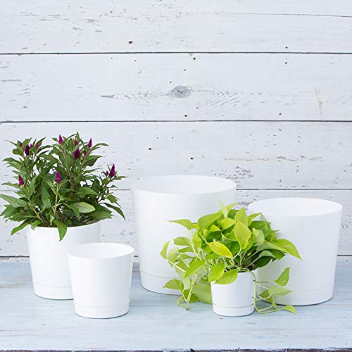 Root & Vessel Novelty Majestic pot built-in tray protects decks.
