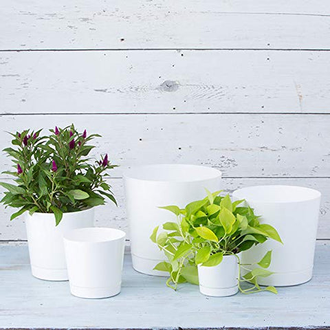 Root & Vessel Novelty Majestic pot built-in tray protects decks.