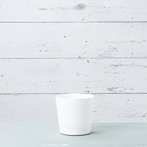 Root & Vessel Novelty Majestic pot on patio with sunlight.