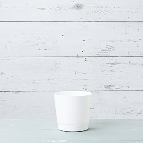 Root & Vessel Novelty Majestic pot on patio with sunlight.