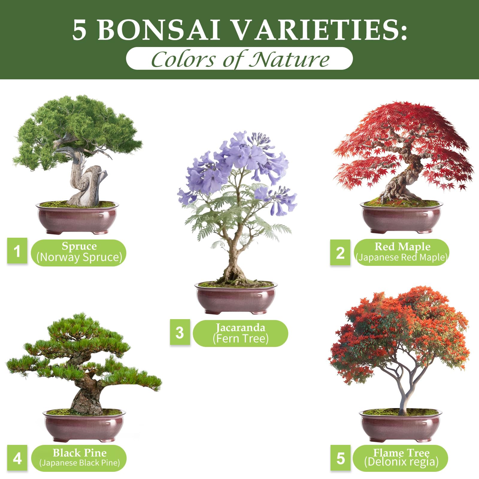 ROOTCRAFT seed packaging highlights freshness and reliable germination for starting bonsai.