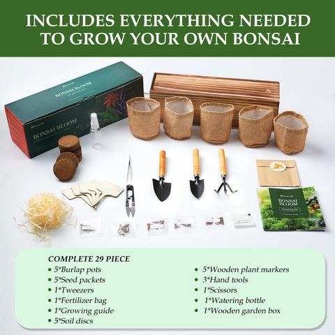 ROOTCRAFT Bonsai starter kit includes all essentials to begin indoors today.
