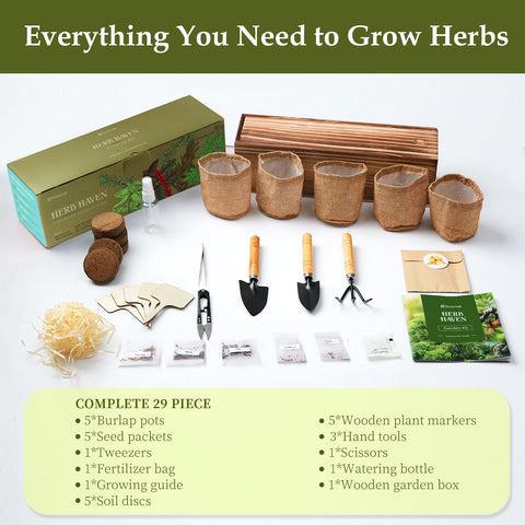 Rootcraft coconut soil discs promote healthy moisture and air for thriving herbs.