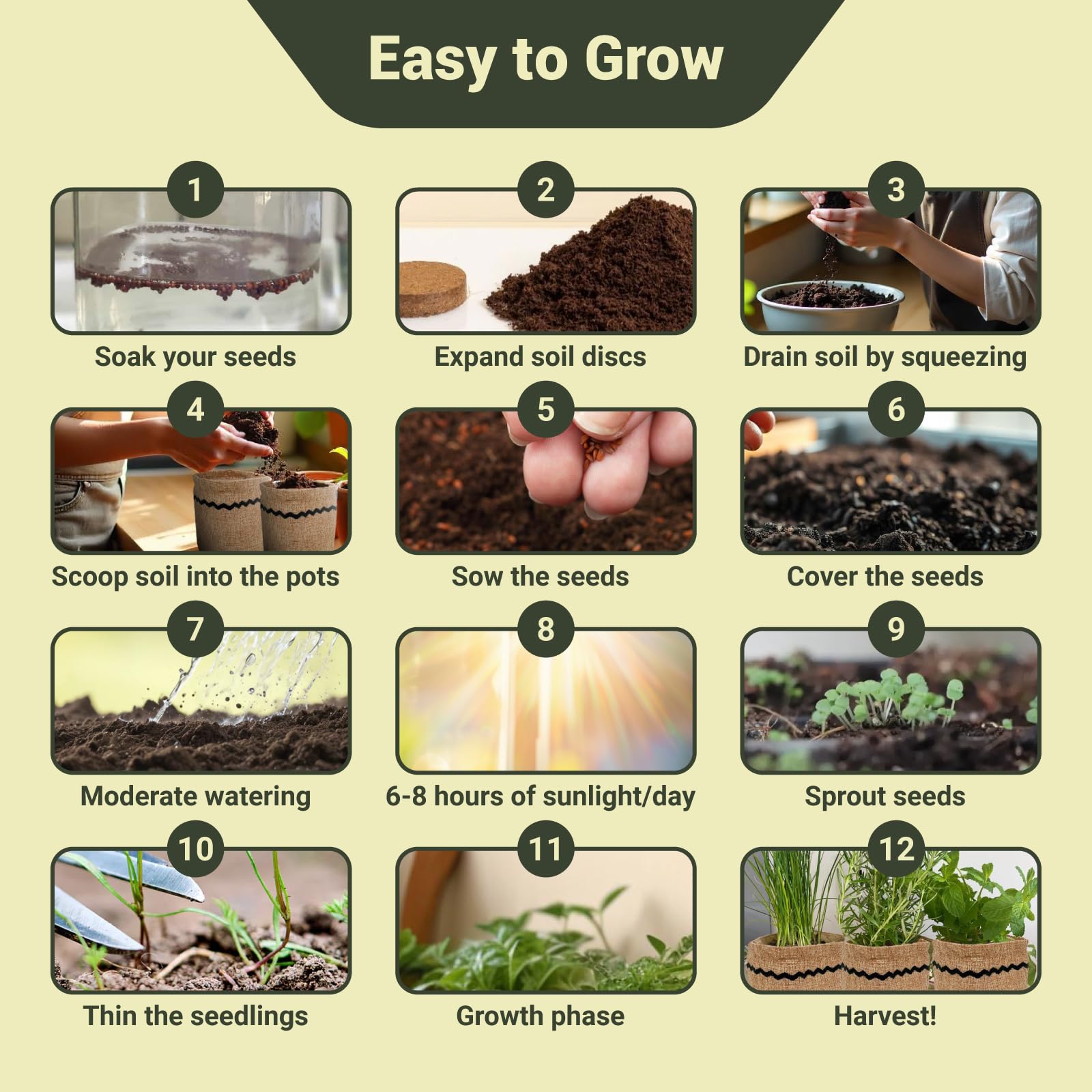 ROOTCRAFT soil discs expanding when watered for sprout-friendly beds