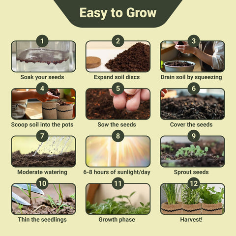 ROOTCRAFT soil discs expanding when watered for sprout-friendly beds