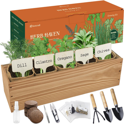 ROOTCRAFT wooden box herb planter sits on a sunny windowsill showcasing stable growth