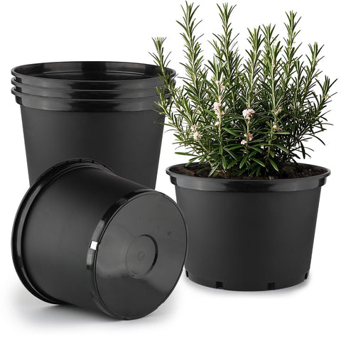 RooTrimmer 10-Gallon pot with side drainage holes for healthy root airflow.