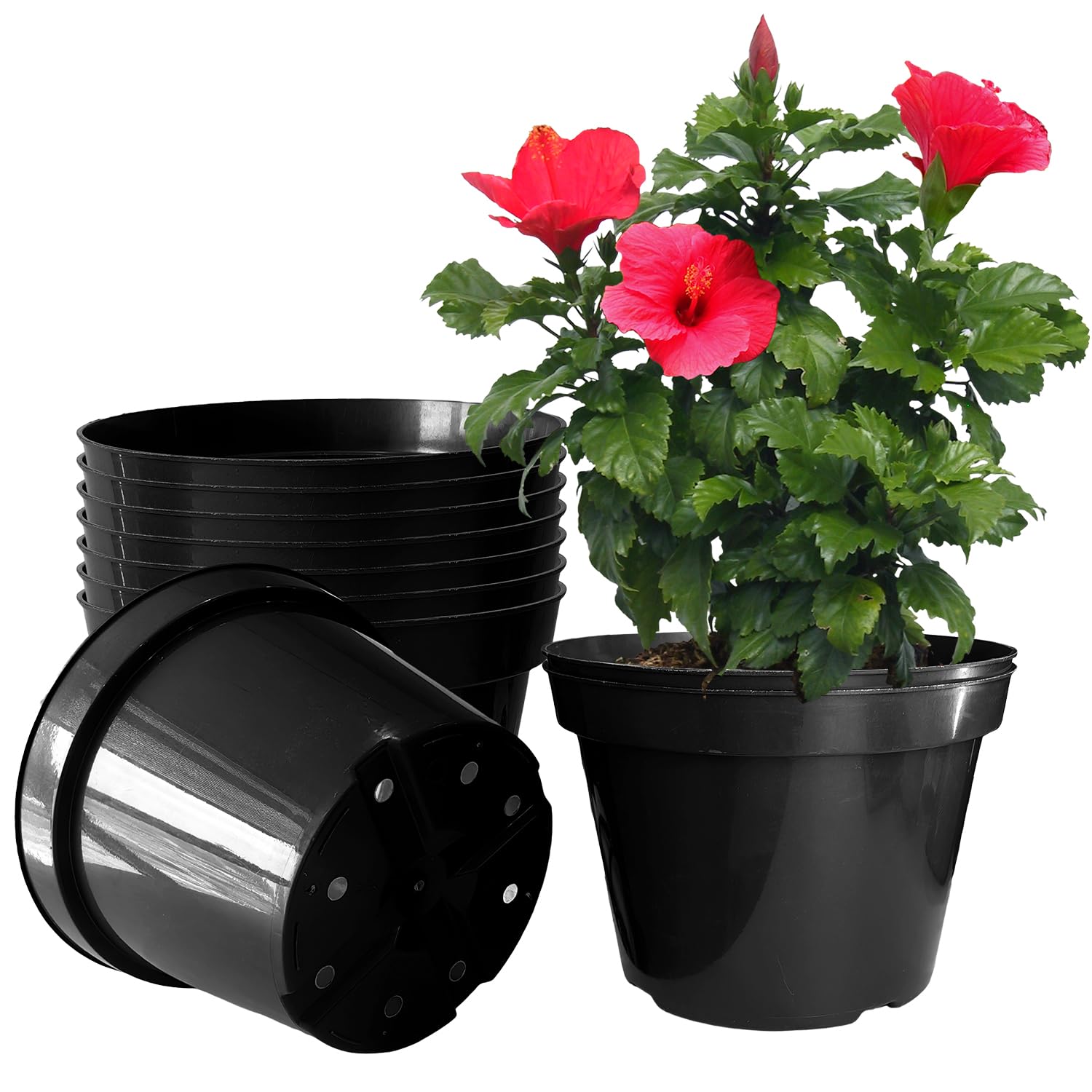RooTrimmer 10-inch nursery pot with drainage holes for healthy root airflow.