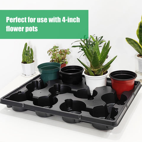 RooTrimmer 10-pack of trays keeps multiple seedlings ready for transport.