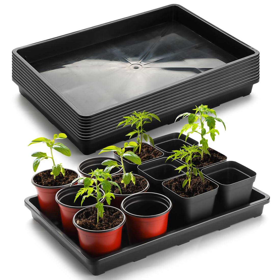 RooTrimmer 10-pack seedling trays flat 17x11 inches, ideal for indoor seed starting.