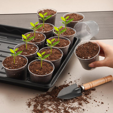 RooTrimmer 100-pack seeds starter pots for convenient germination kits