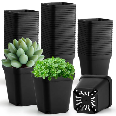 RooTrimmer 100-pack square seedling pots shown for durability and reuse in nurseries.