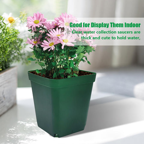 RooTrimmer 100-pcs green square pots ideal for small succulents.