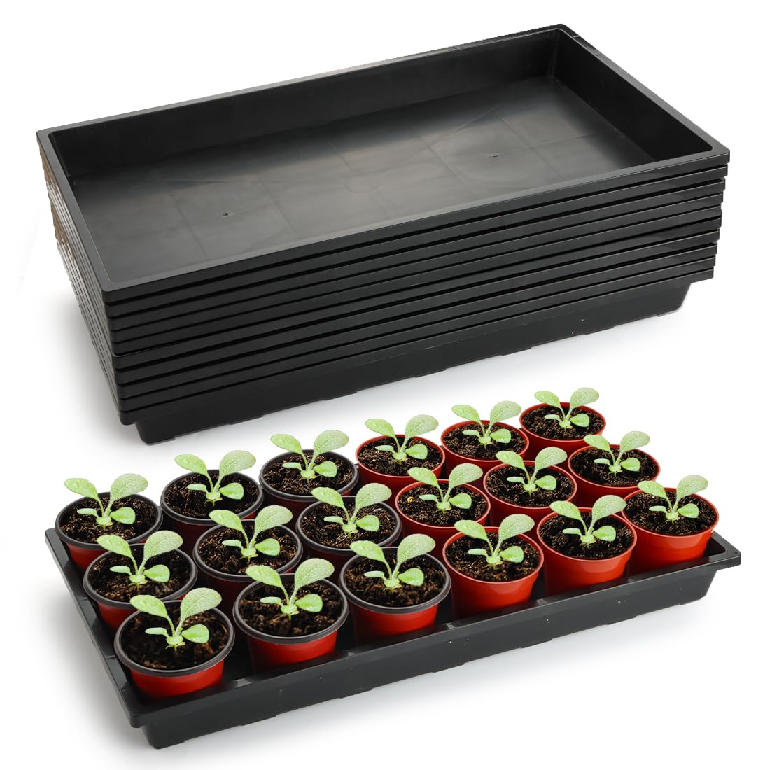 RooTrimmer 1020 flat seed starter trays used for compact seed germination.