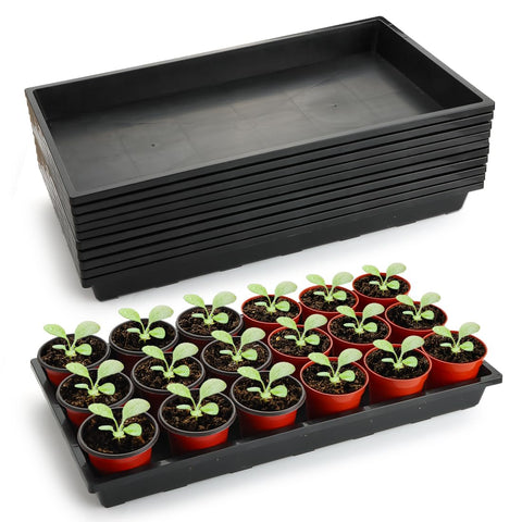 RooTrimmer 1020 flat seed starter trays used for compact seed germination.