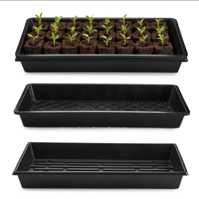 rootrimmer mesh-bottom tray promotes drainage for healthier root development.