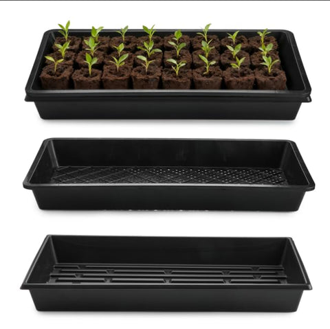 rootrimmer mesh-bottom tray promotes drainage for healthier root development.