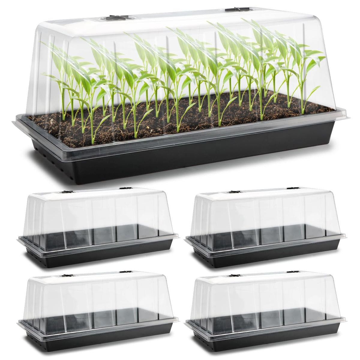 RooTrimmer 1020 seed tray with 7.3-inch dome for efficient germination.