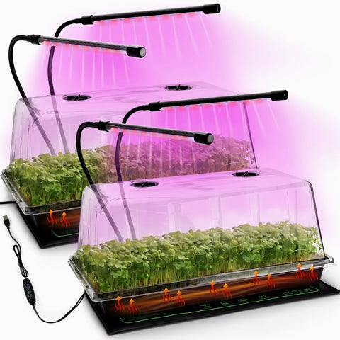RooTrimmer 1020 seed trays with domes for organized germination.