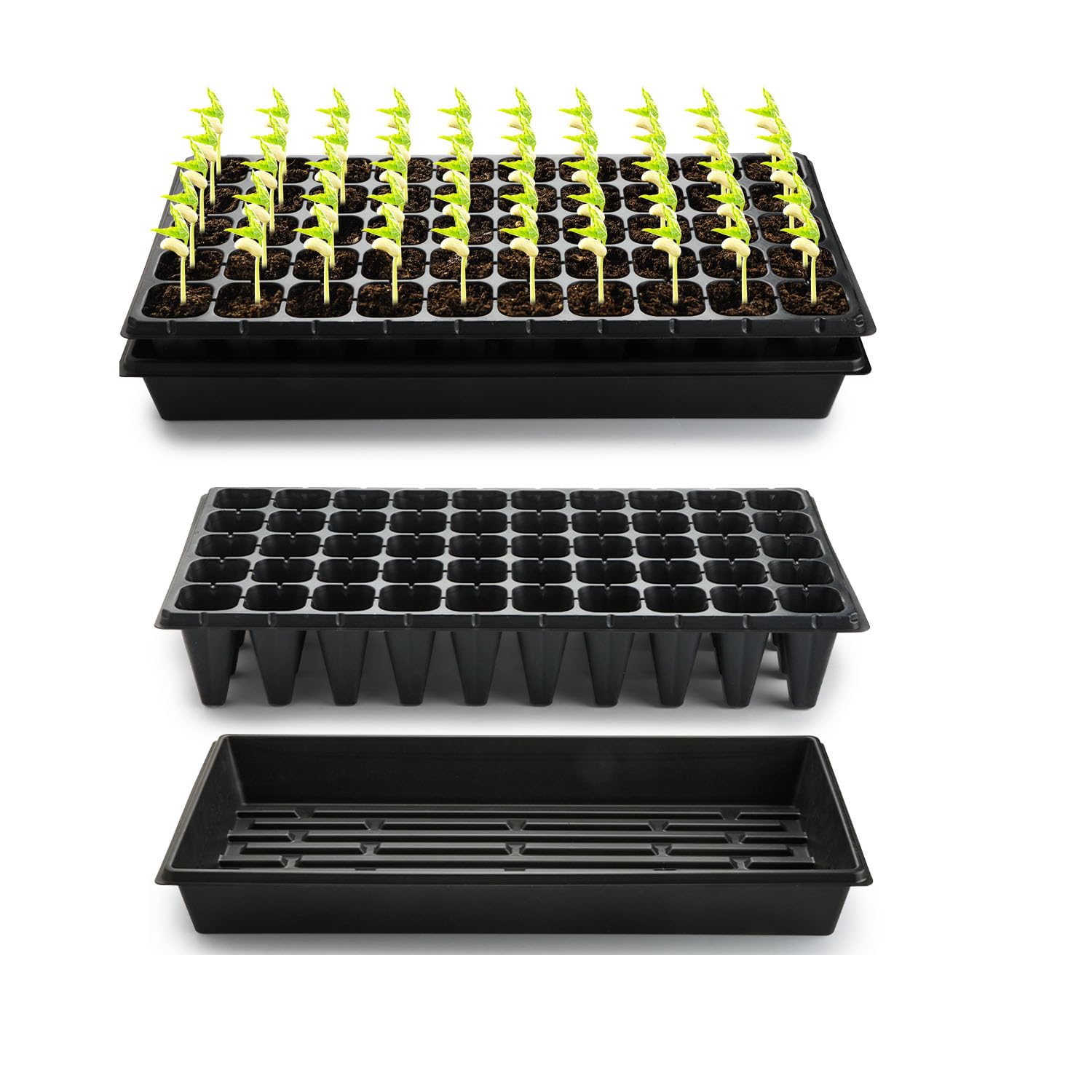 RooTrimmer 1020 tray bottom shows a 10x20 base for easy watering and transplanting.