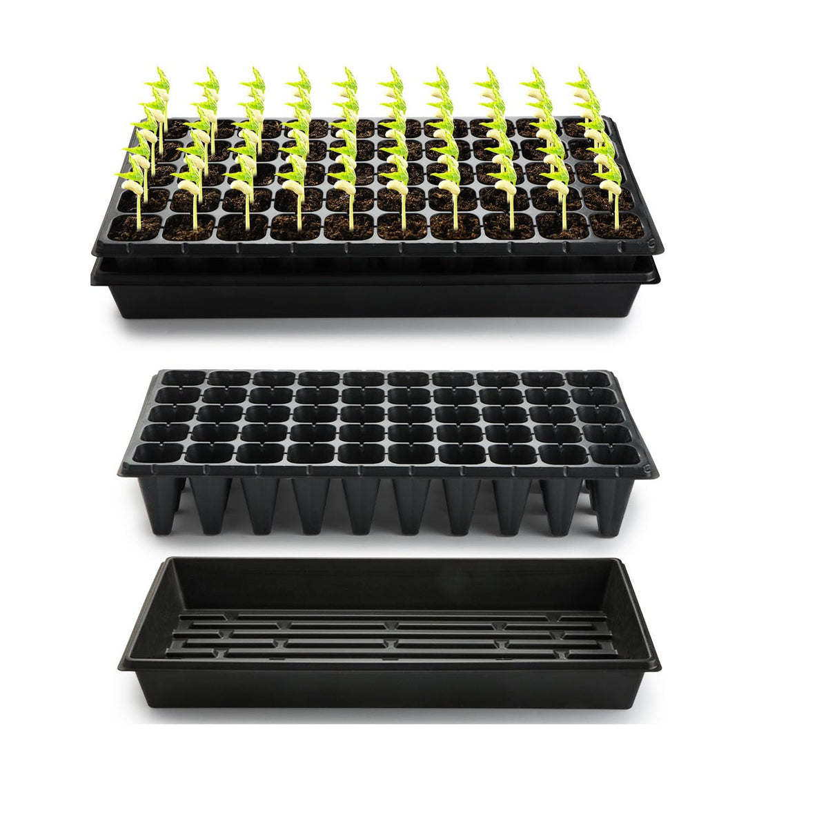 RooTrimmer 1020 tray bottom shows a 10x20 base for easy watering and transplanting.