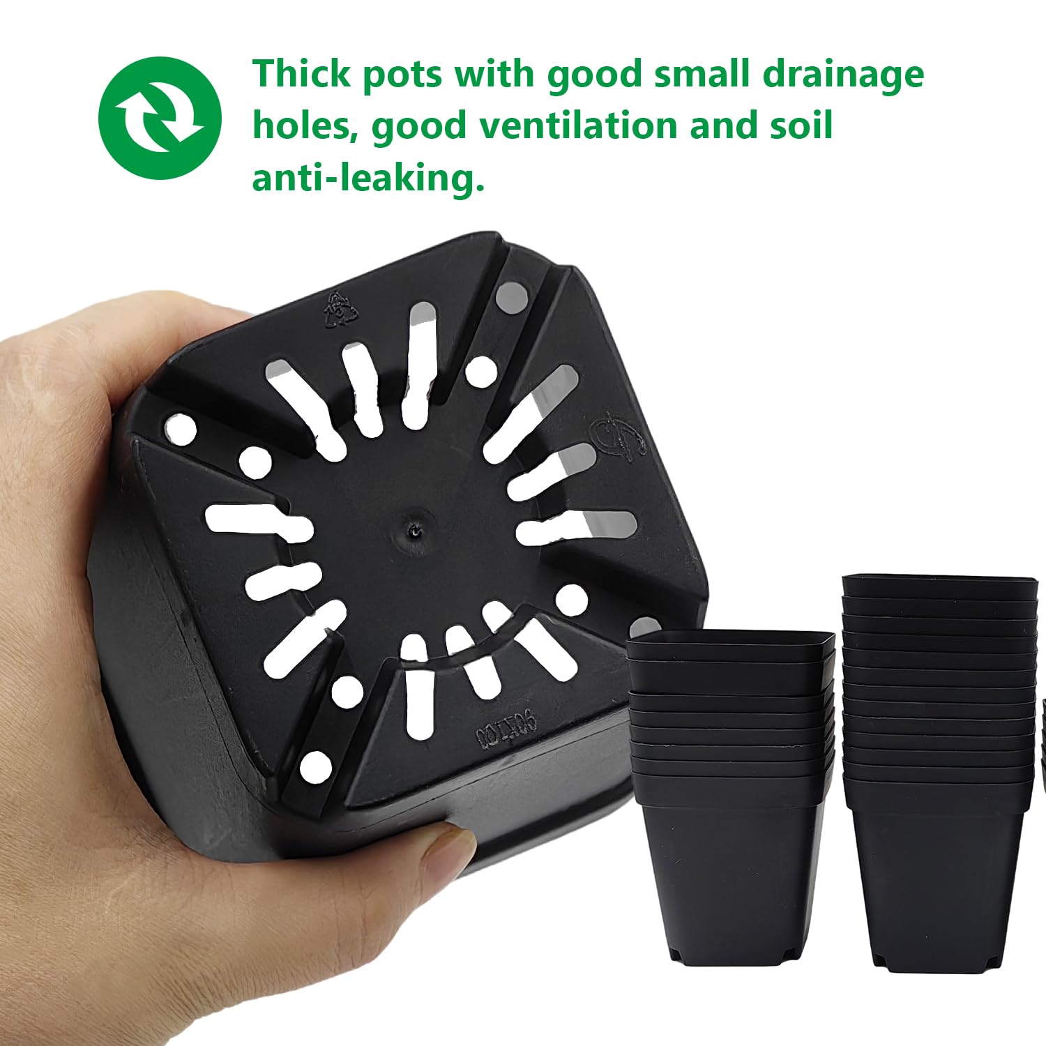 RooTrimmer 1020 tray fit ensures easy seedling organization.