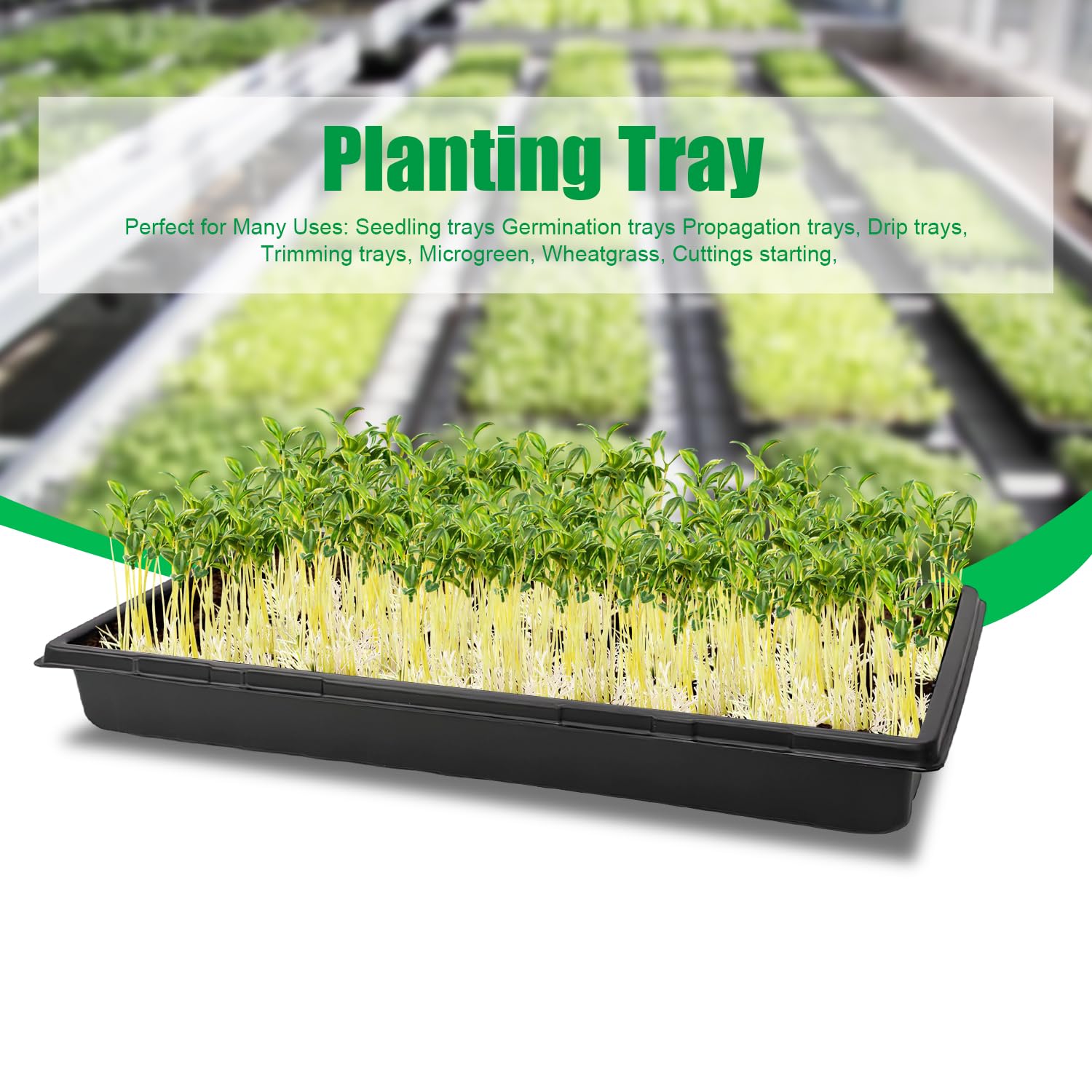 RooTrimmer 1020 tray stacked to save space in growing areas.