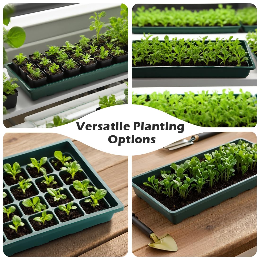 RooTrimmer 1020 trays green transport-ready for moving seedlings