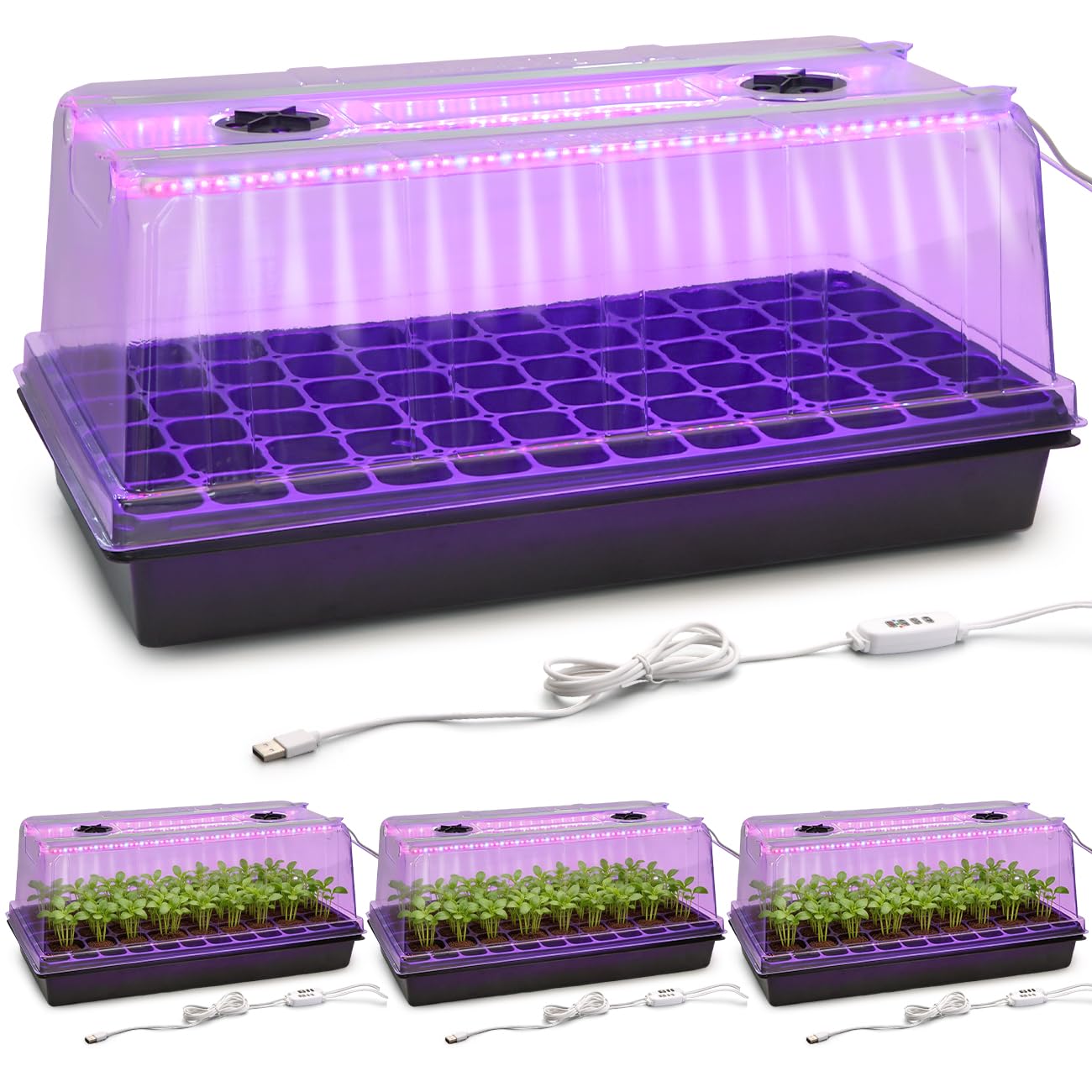 RooTrimmer 1020 trays with grow light for reliable indoor seed germination