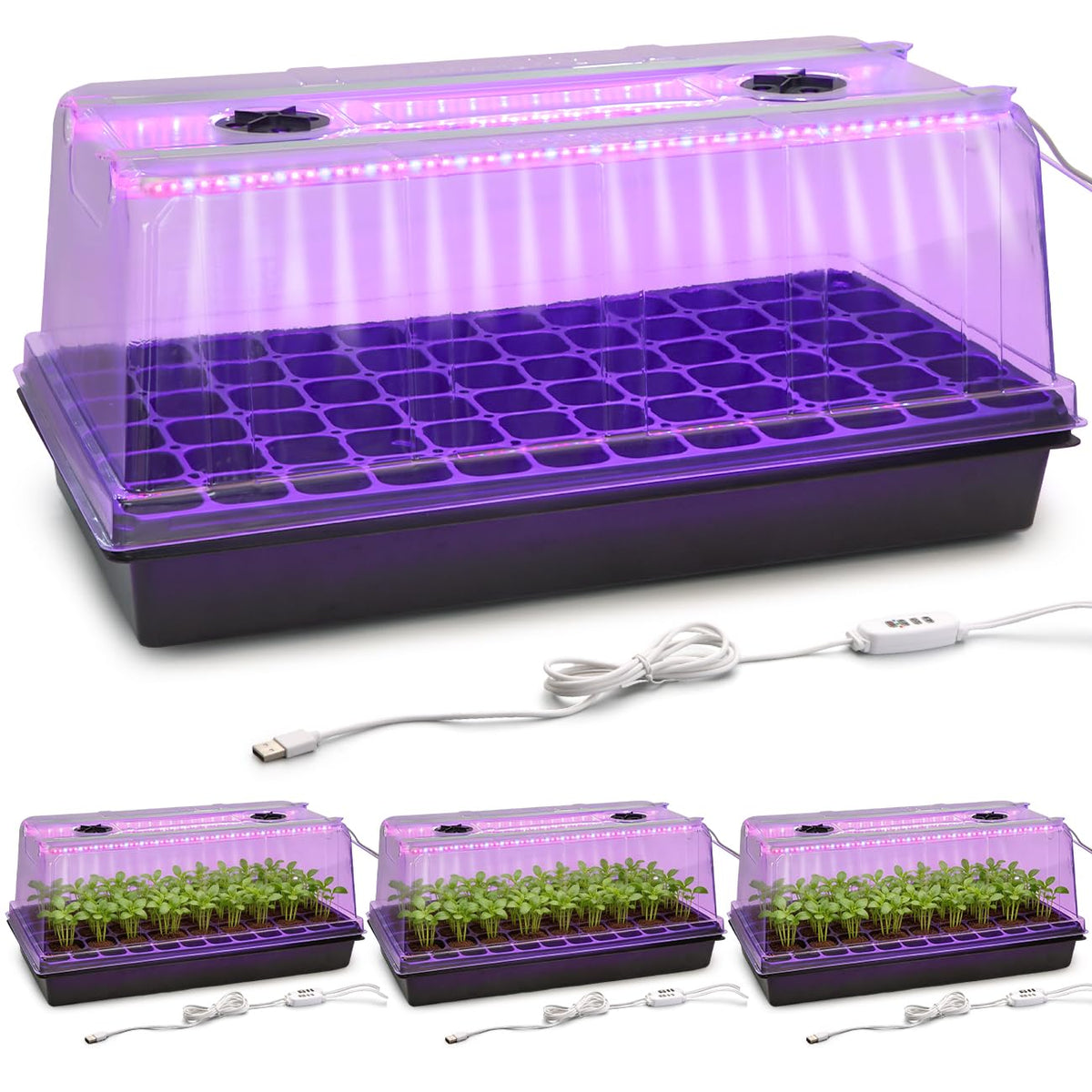 RooTrimmer 1020 trays with grow light for reliable indoor seed germination