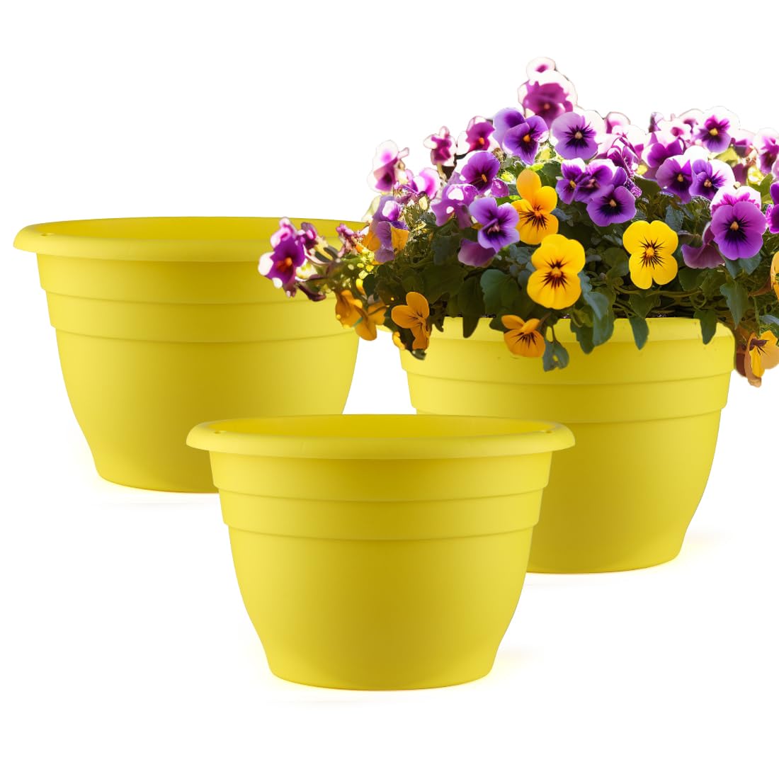 RooTrimmer 11-inch yellow pot—front view ideal for indoor display.