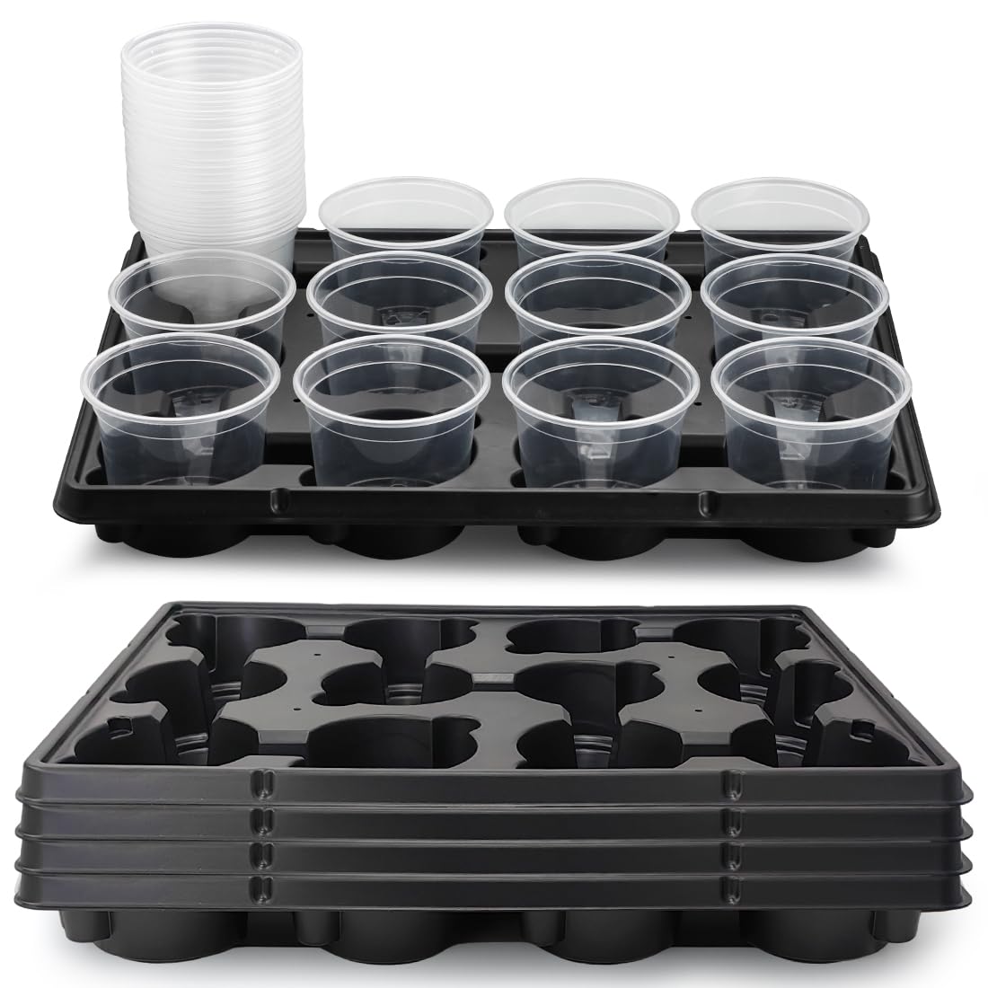 RooTrimmer 12-cell tray with clear 4-inch pots for organized seed starting
