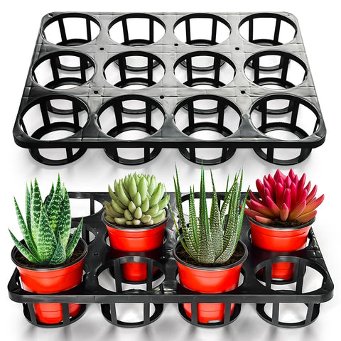 RooTrimmer 12-cell tray flat lay shows tidy pot transport