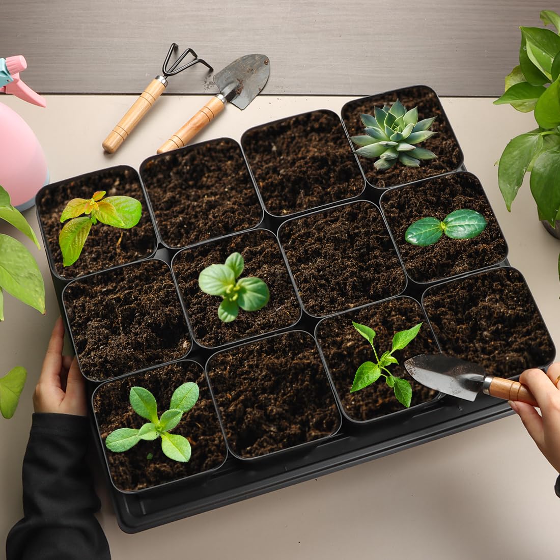 RooTrimmer 120 pots set provides complete starter kit for microgreening.